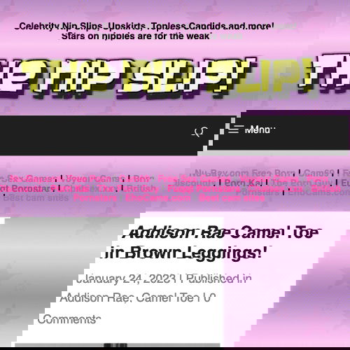 Accidental Nudity and More: An Inside Look at TheNipSlip.com