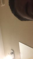 hornytim, 18 years old from United States