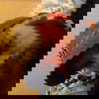 bigcock68b4iou1
