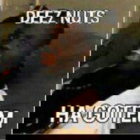 deezno