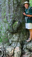 paulbunyan, 21 years old from United States