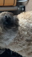 fletcher, 19 years old from United Kingdom