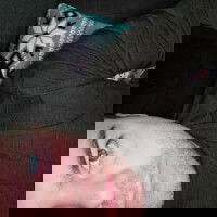 jvilly18