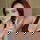 lisa033