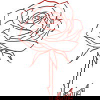 shybuthorny