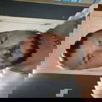 jftb19951