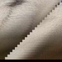 brandonc