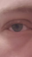 thomasstoom, 29 years old from Netherlands