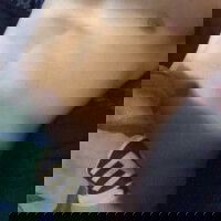 aurthurd19