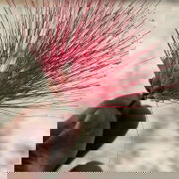 hornylicking