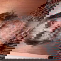 boblickspussy