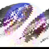 dragon624