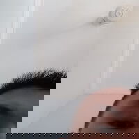 bernir