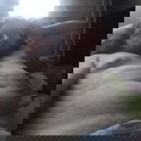 orgun80