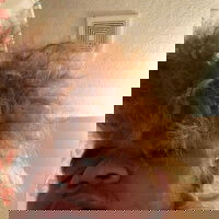 mannyjj
