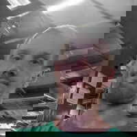 robertgt