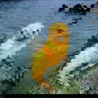 bepicman