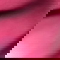 transveronica