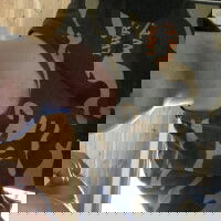 bennycool234