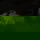timo42054