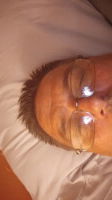 willie, 51 years old from United States
