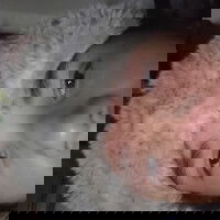 averyhornyboy