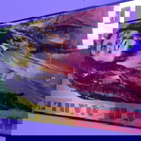 justforfun6969