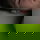 timo42088