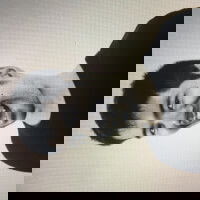 wtfdisisntprnhub