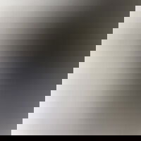 p9g
