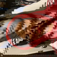 chaotic