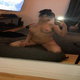 ashleyparkes12