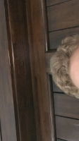rawdog23, 22 years old from United States