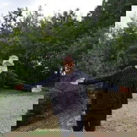 dolmm8