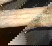 urdaddy420