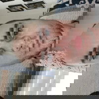 matthasyummydick