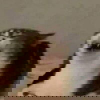 tongkl