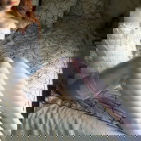 susansteves696