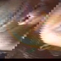 eroticart66