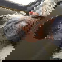 testdummy86