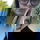 celineb1122