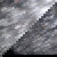 satisfyingcock