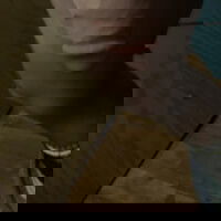 dal1184