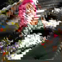 daniellaalison5050