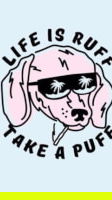 ssmokes420, 19 years old from United States