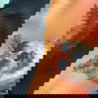 wlbiv