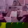 emily_wilson01