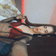 emmasugarlover