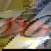 natesdick1024