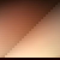 carterball4991